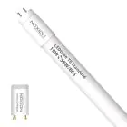 Noxion Tube LED T8 Avant (EM/Direct 230V) Standard Output 19W 2300lm - 865 Lumière Du Jour | 150cm - Équivalent 58W
